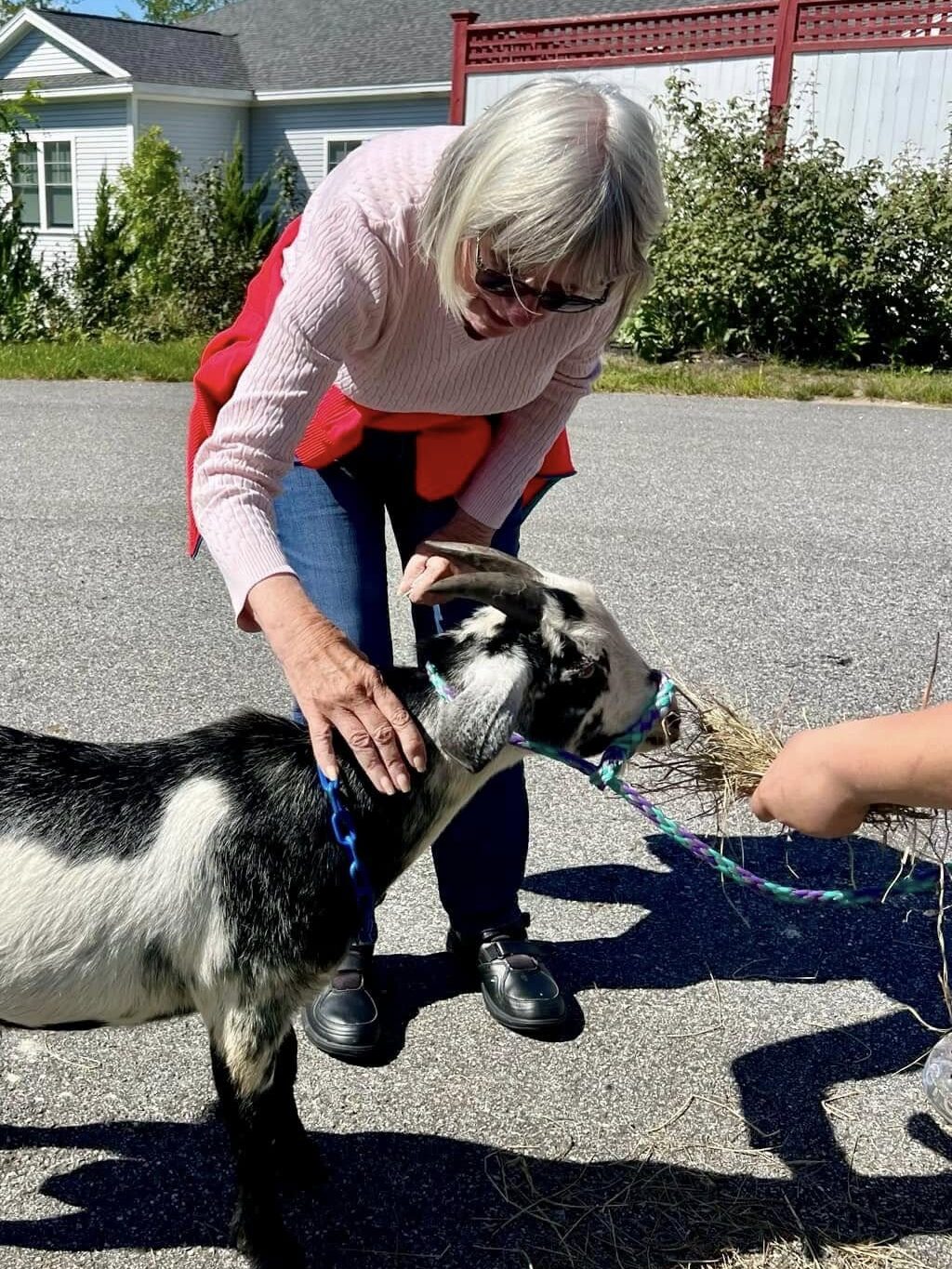 A woman pets a goat on the street.